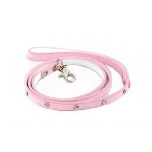 Dog Leads